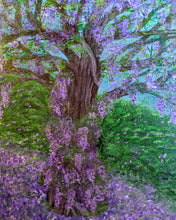 Load image into Gallery viewer, Wild Wisteria