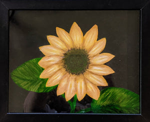 Sunflower In Bloom